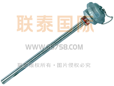 WRN2-120/WRN2-130 裝配式雙支熱電偶