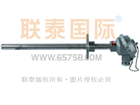 WRN2-330/WRN2-320 裝配式雙支熱電偶