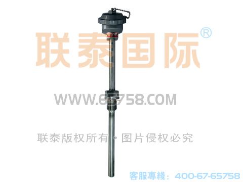 WREN2-230/WREN2-220  裝配式雙支耐磨熱電偶