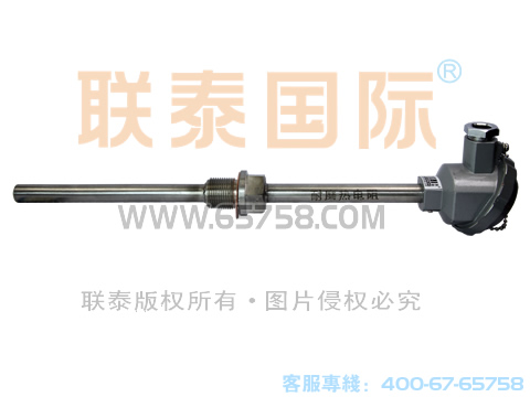 WRE-230/WRE-220 裝配式熱電偶