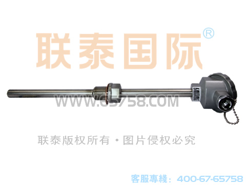 WREN-220/WREN-230 裝配式耐磨熱電偶 