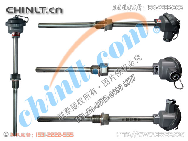 WRNN-220/WRNN-230 裝配式耐磨熱電偶 