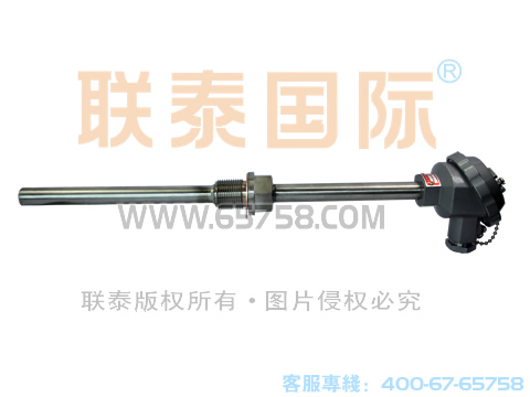 WZCN2-220/WZCN2-230 裝配式雙支耐磨熱電阻 