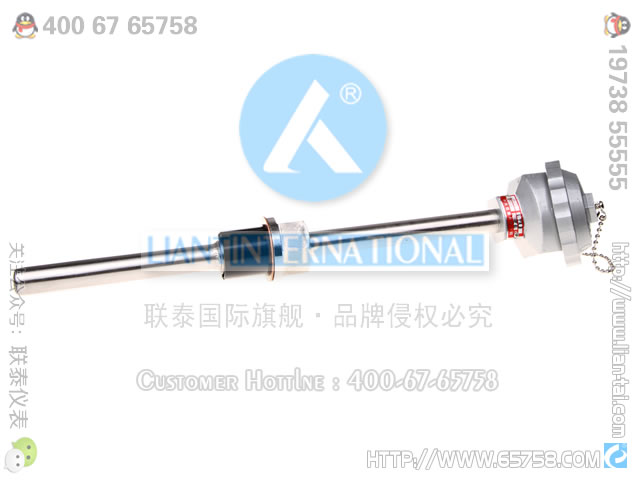WZP-220/WZP-230 裝配式鉑熱電阻