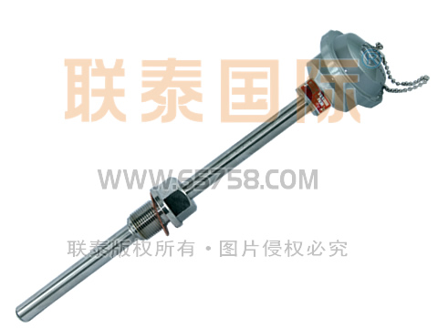 WZP2-220/WZP2-230 裝配式雙支鉑熱電阻
