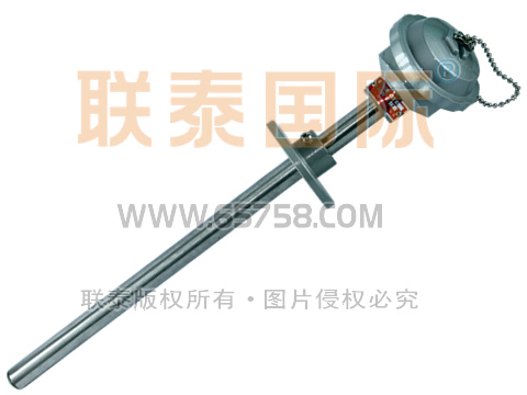 WZP2-320/WZP2-330 裝配式雙支鉑熱電阻