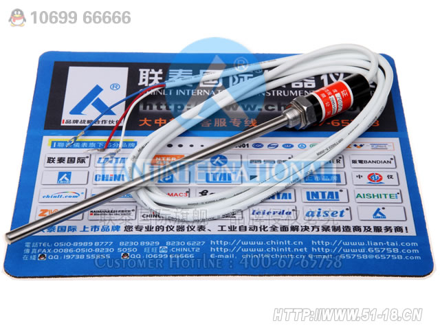 WZPT-10 探頭式鉑熱電阻